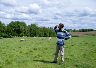 Vers une alimentation durable dans les territoires