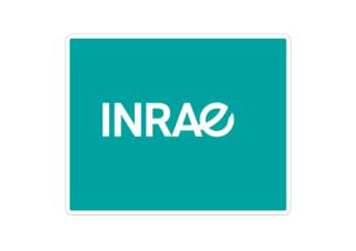 INRAE