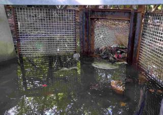 Sur le bord d'une petite étendue d'eau, un filet retient des déchets
