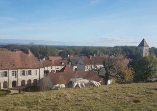 un petit troupeau de mouton sur une colline qui domine un village