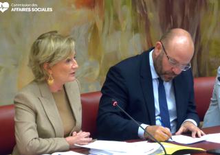 commission des affaires sociales 