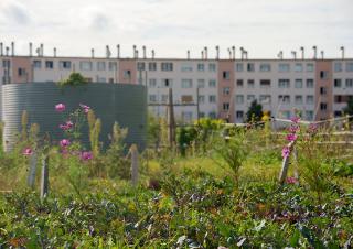 quartier en rénovation urbaine