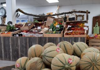 Etals de légumes dans un magasin