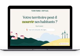 illustration site internet 