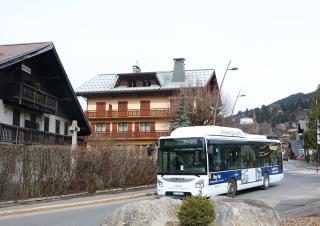 bus