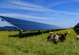 panneaux solaires dans un champ