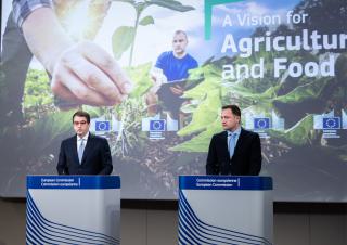 agriculture