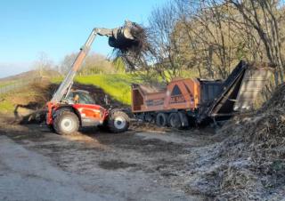 Un tracto pelle charge une benne avec des branches d'arbre