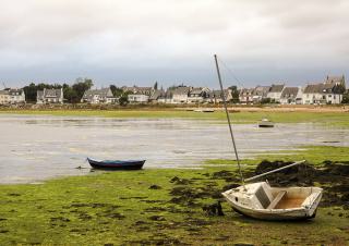 Algues vertes en Bretagne