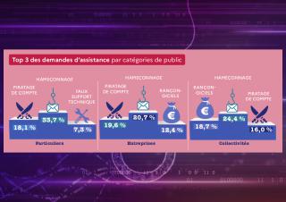 illustration statistiques de cybermalveillance