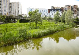 immeubles en bord de parc