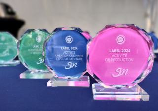 Trophées de verre teinté, rose, bleu, vert