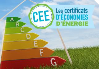 CEE