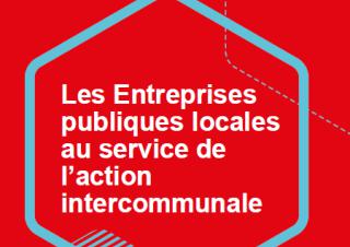 Couverture du guide EPL et intercommunalités