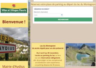 Capture d'écran du site de la commune d'Aydius, avec le module de réservation