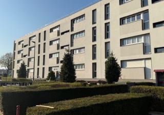 Amsom habitat