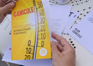 canicule 
