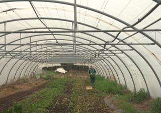 TerrAsol : un projet alimentaire de territoire
