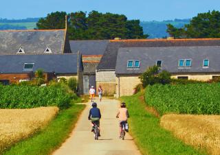 cyclistes à la campagne 
