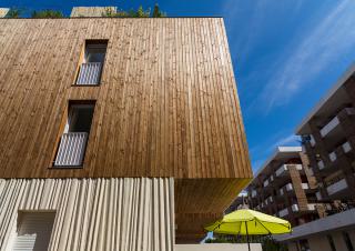 immeuble en bois 