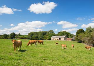 ferme 