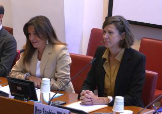 Nathalie Colin-Oesterlé et Sandrine Runel 