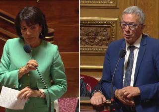 Dominique Estrosi-Sassone et Daniel Gremillet