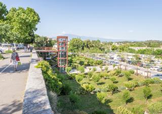 Biodiversité en ville