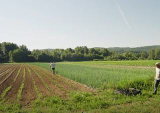 Dynamo : vers un système alimentaire du milieu