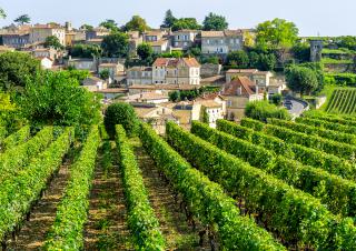 Village pres de vignes