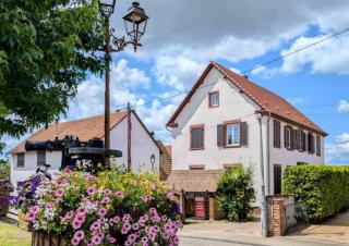 Une maison et au premier plan des fleurs 