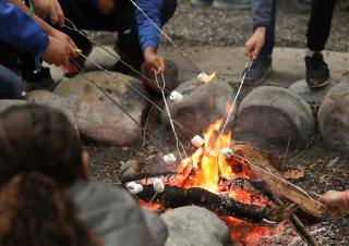 des enfants grillent des chamallows