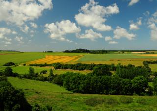 Consignation - outil de sécurisation du droit de préemption et d’expropriation des collectivités