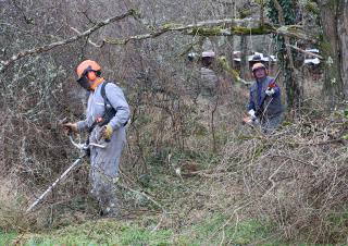 débroussailment