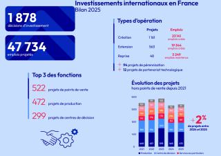 infographie des investissements étrangers en France  