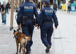 policiers municipaux avec un chien