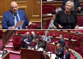 Thomas Dossus et  Catherine Morin-Desailly 