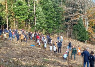 Une cinquantaine de personnes sur une parcelle déboisée, dans une forêt