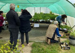 vente annuelle d’aromates, fleurs et autres plantes au chantier d'insertion  les Jardins du coeur 