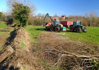 destruction de haies dans un champs 