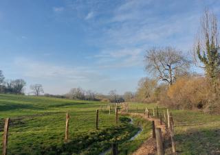 un ruisseau serpente au milieu d'une prairie valonnée