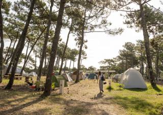 Une femme vue de dos marche entre des tentes installées sous des pins
