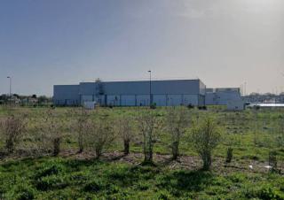 Un bâtiment industriel, et au premier plan, de la végétation tout juste plantée