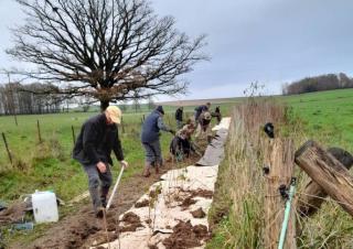 Le long d'un chemin au milieu des champs, une dizaine de personnes plantent une haie