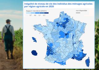  Inégalité de niveau de vie des individus des ménages agricoles par région agricole en 2020