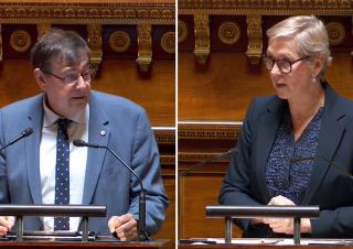 Patrick Chaize et Anne Le Hénanff