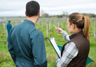 jeune  agriculteur 