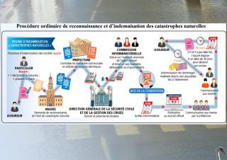schéma de procédure de reconnaissance et d'indemnisation de procédure naturelle 