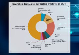 répartition des paintes par secteur d'activité en 2024 