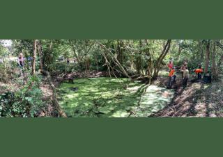 Une mare dans un sous-bois, et des personnes dans la mare